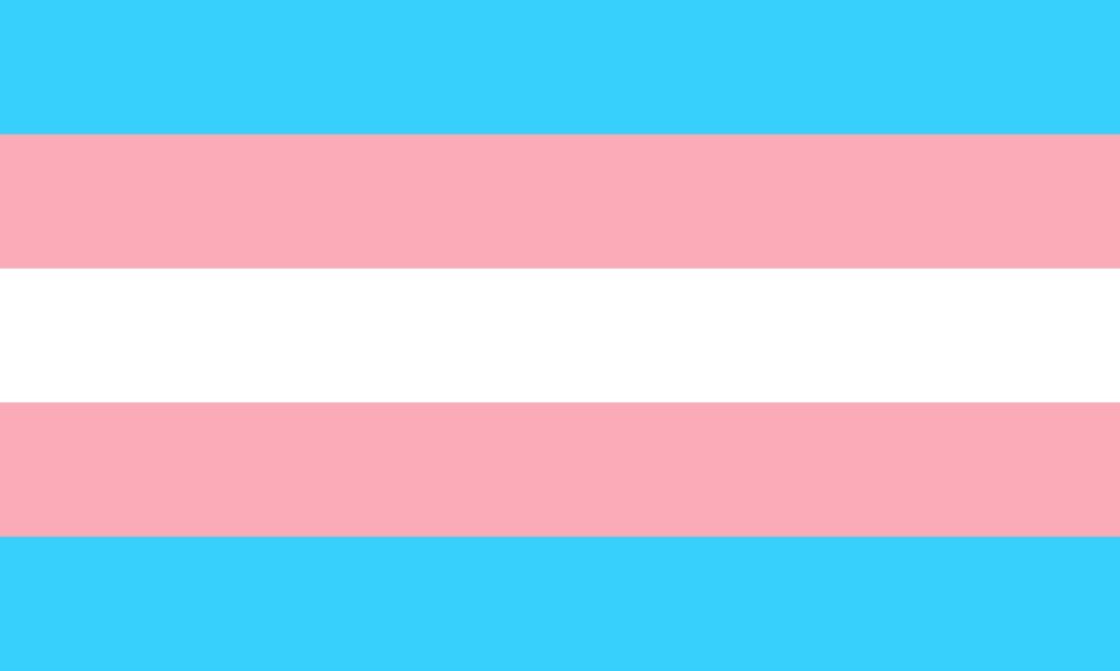 The transgender flag
